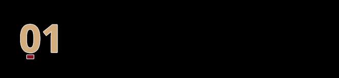 九游娛樂NineGame：自遠(yuǎn)古振翅的“黑色風(fēng)暴”(圖2)