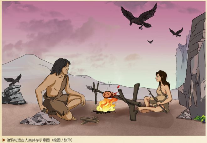 九游娛樂NineGame：自遠(yuǎn)古振翅的“黑色風(fēng)暴”(圖4)