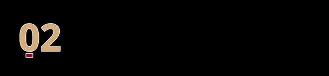九游娛樂NineGame：自遠(yuǎn)古振翅的“黑色風(fēng)暴”(圖5)