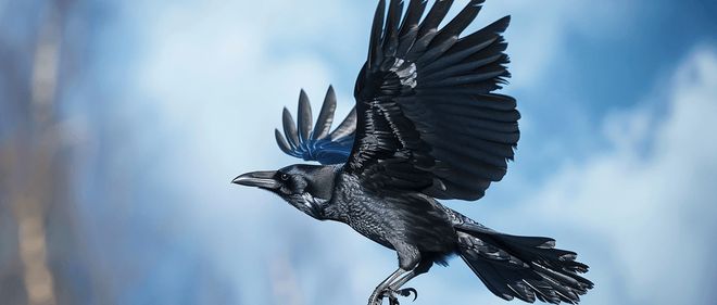 九游娛樂NineGame：自遠(yuǎn)古振翅的“黑色風(fēng)暴”(圖3)