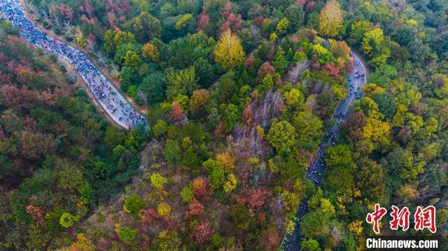 7000余人同登武漢木蘭山領(lǐng)略黃陂山水秋韻(圖2)