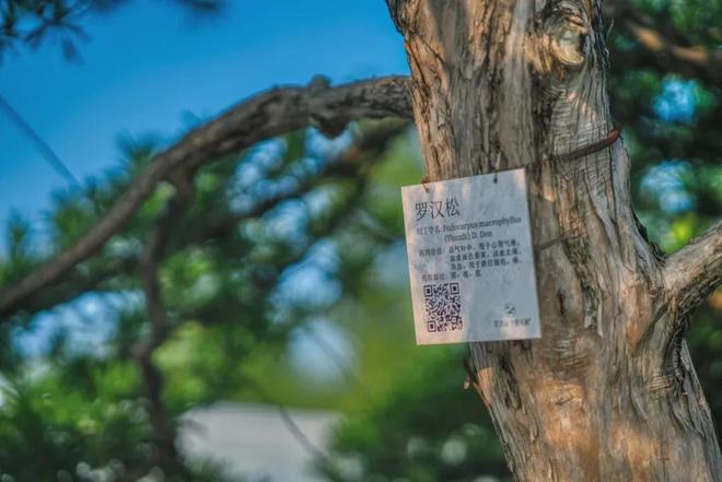 2024『羅浮山十里方圓』營銷中心網(wǎng)羅浮山十里方圓營銷中心(圖18)