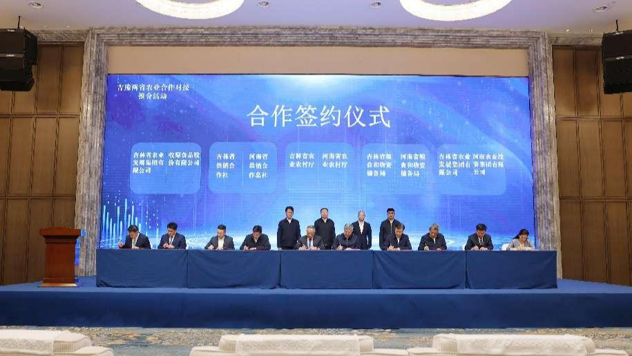 吉林大米：從黑土地到白金名片的時代躍遷(圖1)