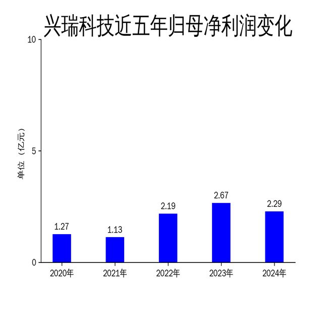 九游娛樂：興瑞科技2024年財(cái)報(bào)：營收利潤雙降新能源汽車業(yè)務(wù)成亮點(diǎn)(圖2)