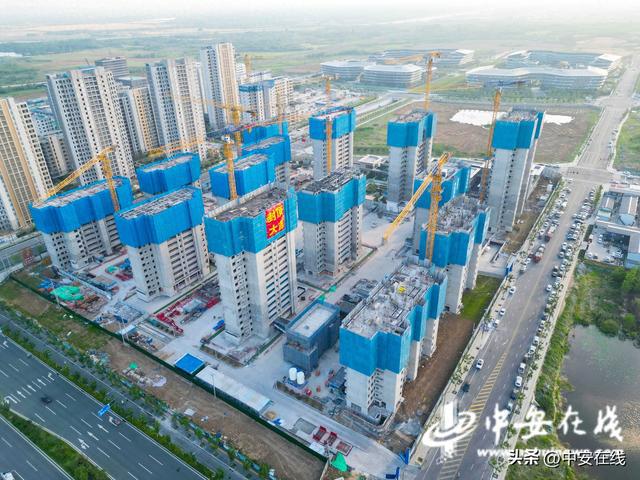 合肥高新區(qū)訊飛小鎮(zhèn)保障性住房項(xiàng)目首棟主體結(jié)構(gòu)順利封頂(圖1)