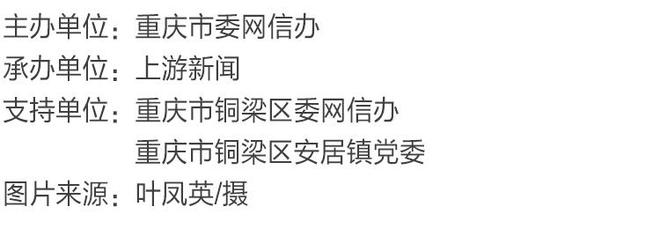 渝見(jiàn)好“村”光｜曲水煙巒：銅梁區(qū)安居鎮(zhèn)琵琶村(圖1)