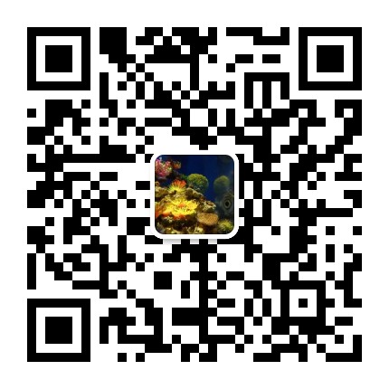 抖音藍v認證費用,抖音藍v認證多少錢(圖2)