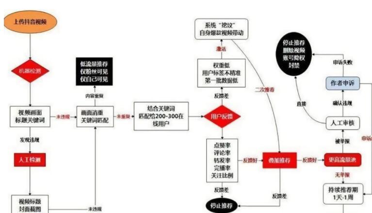 新手輕松快速掌握抖音推薦算法核心技巧(圖2)